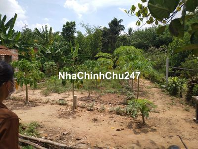 Bán đất thổ cư QL 22B, Gò Dầu, Tây Ninh