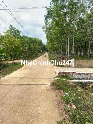 chính chủ bán đất 500m2 tiến thành giá 390tr ( chuẩn 100%)