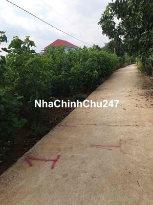 chính chủ bán mảnh thị trấn Nam Ban cách chợ Thăng Long 500 m