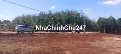 đất phú riềng giá ngộp