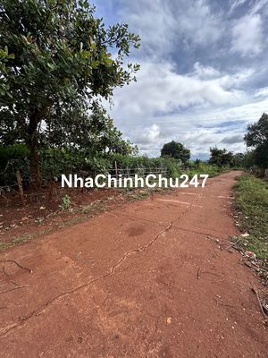 Cần bán 2000m2 đất đã có 300 thổ cư