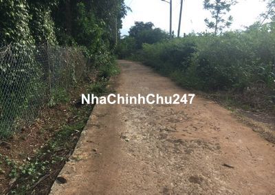 Chính chủ bán đất lộc ninh