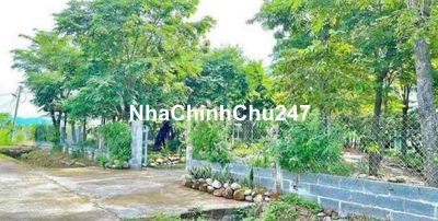 NHÀ VƯỜN SẴN NHÀ CẤP 4 NGAY TP ĐỒNG XOÀI BÌNH PHƯỚC SỔ RIÊNG CC 3500M2