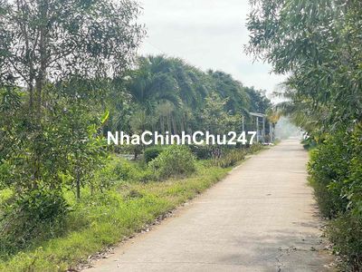 Chính chủ 322m2 Thổ ( 375Triệu ) Cần Bán Nhanh