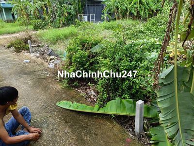 CHÍNH CHỦ CẦN BÁN NHANH ĐẤT TẠI XÃ HƯNG LONG, BÌNH CHÁNH, CHỈ 1 TỶ 650