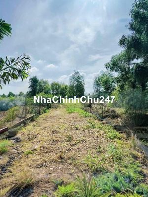 Đất chính chủ Phước Khánh , Nhơn Trạch