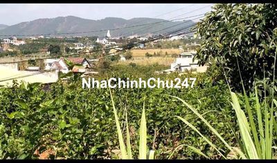 Chính chủ Đất Lâm Hà 1215m có 200m TC, Đường Ô Tô, Gần UBND. 1ty5