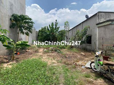 Sổ Hồng Riêng Rõ Ràng Chính Chủ Cần Bán Đất Hội Nghĩa, Đ. DT 746B