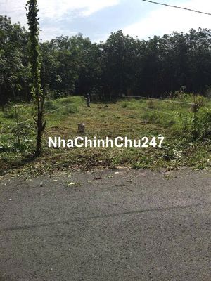 Chính chủ cần bán lô đất 1000m² giá 225triệu bao sang tên