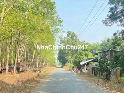 Bán đất mặt tiền đường nhựa thi xã chơn thành