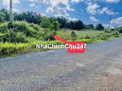 Đất mặt tiền nhựa 331m2 Ấp 1, An Khương