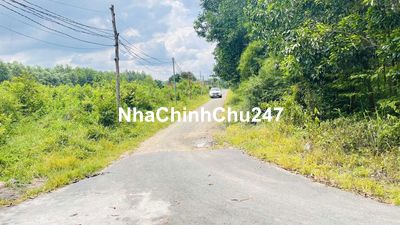 Bán 1384m2 đất full ONT mặt tiền đường nhựa xã Long An. Cách QL51 2km