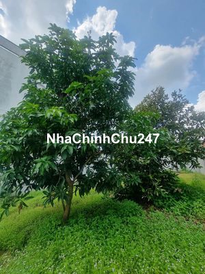 💥Cần bán lô đất Biệt Thự 9m x 28m MT Tân Long