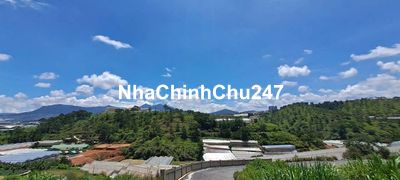 Nợ nần cần bán lỗ nặng 350m2 thổ cư giá 300Triệu có View rừng thông