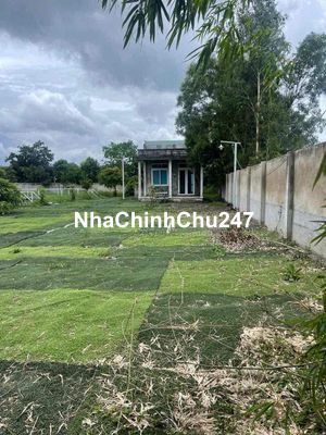 1612m có 300 thổ Đường bê tông 5m xã Qui Đức Bình Chánh