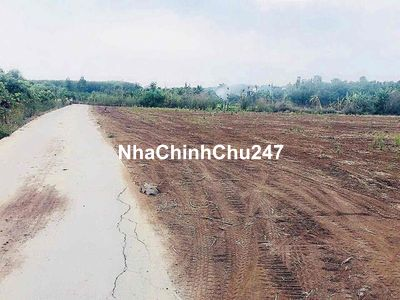 Chính chủ  cần bán   1 sào  đất  tại Bảo Bình  -  Cẩm Mỹ