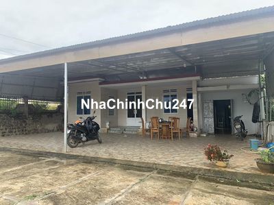 CẦN TIỀN GẤP bán Lỗ nặng bán Lô 2xào3 Giá còn 400triệu có nhà cấp 4