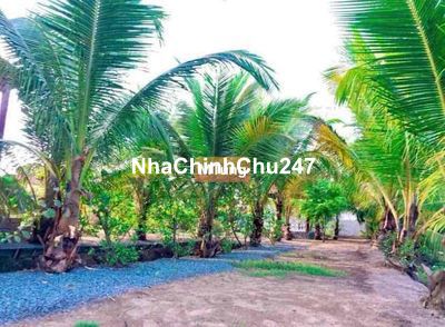 Thanh lí Nhà Vườn Chính Chủ dọn cuối năm