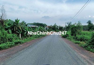 Chính chủ cần bán lô đất tc dt 292m