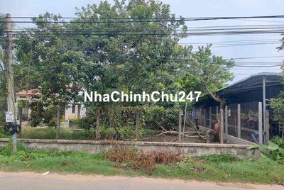 Đất mặt tiền nhựa Trường Chinh