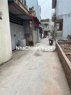 CHÍNH CHỦ MUỐN BÁN ĐẤT NGỌC CHI – THÔNG SỐ HOA HẬU – 5,2  TỶ