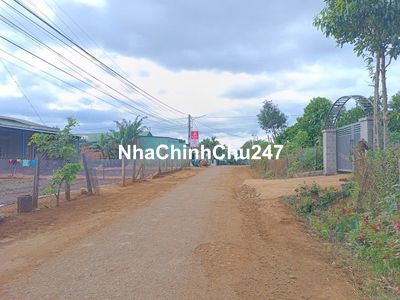 Bán đất chính chủ làng Nhào, xã Ia Kênh