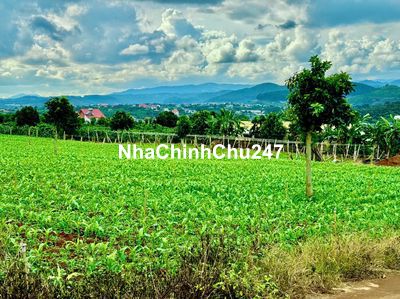 Bán lô đất View trực diện hồ Đông Thanh. Đất bằng đã lên Full thổ cư