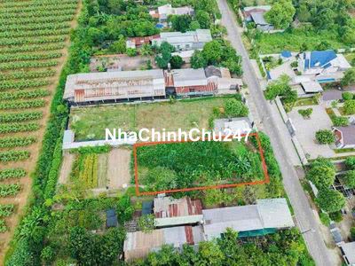 MT Bến Súc - Củ chi - 1000m2 - giá ngợp 5.2ty ( gia cũ 8.5ty)