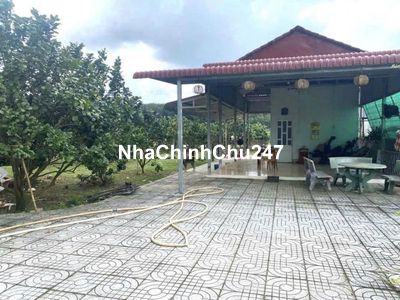 Cần bán mảnh vườn 2000m2 có nhà cấp 4 sẵn, có cây ăn trái ở Bình Dương