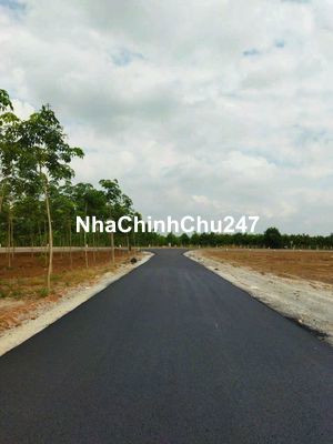 Chính chủ cần  Bán Lô đất Tân Hiệp Phú giáo