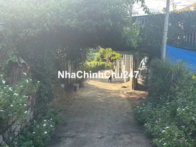 🔵 6x30(183m2) Sẵn 60m2 Thổ Cư, Tân Bình, Lagi Giá Rẻ