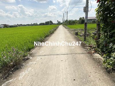 255m2 thổ 360 triệu xã Bình Trinh Đông. sổ sẵn