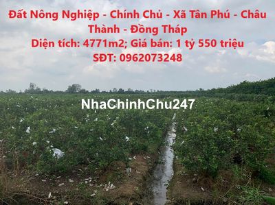 Đất Nông Nghiệp - Chính Chủ - Xã Tân Phú - Châu Thành - Đồng Tháp