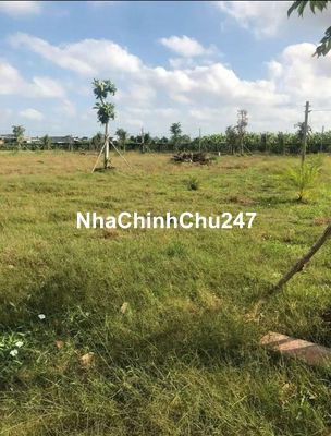 CHÍNH CHỦ LÊN TP Ở NÊN CẦN BÁN GẤP ĐẤT SÀO 800M2 Ở CHƠN THÀNH CÓ SHR