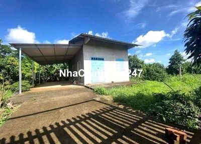 CHỦ VỪA GỬI BÁN NHÀ VƯỜN 800m2 GẦN CHỢ TÂN KHAI, HỚN QUẢN,BÌNH PHƯỚC