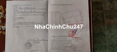 Đất nền sát xã Phong Phú, cách Quận 8 15 phút chạy xe.