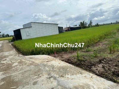 đất tcư ở nuôi trồng ,dân xung quanh đường bê tông xe hơi tới đất,x