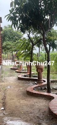 bán đất tặng nhà khu du lịch núi bà