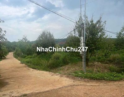 Chủ đất cần bán gấp miếng đất vườn giá ngộp