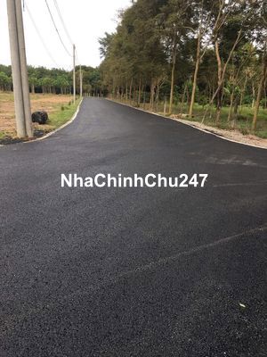 Nhượng gấp nền đất 250m2 / thổ cư/đường nhựa 8m - sổ hồng riêng