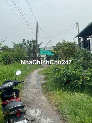 Dat thổ cu , xa my hanh bac dưc hoa long an