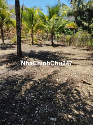 Bán lô đất đẹp vịnh Nha Phu - phía bên biển,500m Full thổ cư