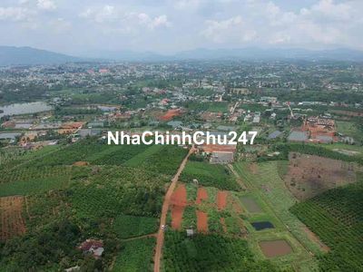 Bán đất vườn NGHĨ DƯỠNG Khu Hồ Nam Phương Bảo Lộc