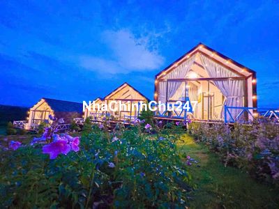 chủ kẹt bán bớt 1 căn homestay đang kinh doanh tốt có sổ giá 230 trieu