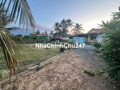 Cần bán lô đất vườn dừa Ninh Hoà 816m2 ( trong đó 70m2 đã lên thổ cư)