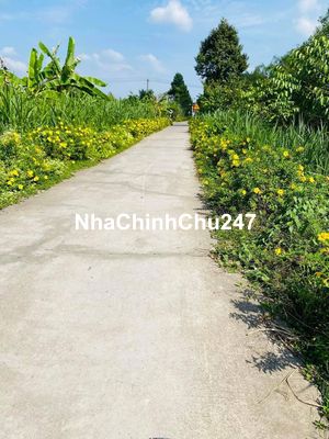 Chình chủ kẹt tiền cần bán gấp lô đất giá ngộp