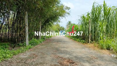 Lô đất 1/ nhắn đường Đỗ Đăng Tuyển, full thổ cư, An Nhơn Tây