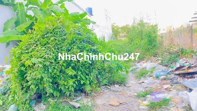 Bán đất thổ cư 256 m2 hẻm 12 đường 3/2