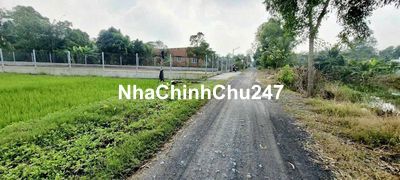 Bán đất thổ cư xã Thuận Thành Cần Giuộc; 575m mặt tiền đường Kênh Xáng