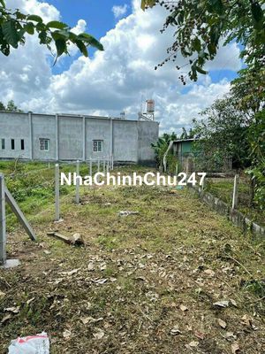 Bán đất Củ Chi giá rẻ, Trung Lập Hạ 125m2, Sổ riêng, bán gấp 430 triệu